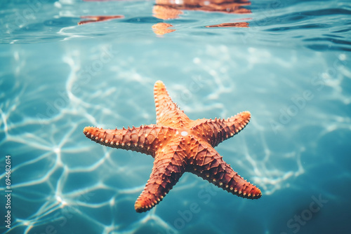 Starfish in the sea close up © Aida