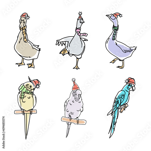 Vector contour drawing of New Year parrots and geese in hats and scarves photo