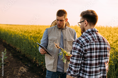 Two men working in the field and testing quality of a plant.