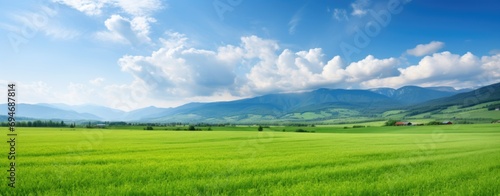 Serene Green Field with Distant Mountains and Blue Sky