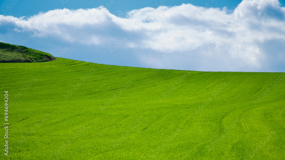 Harmony of colors in nature. Green fields, plowed land and cloudy blue sky. Green crops and field view in spring. Harmony of colors in nature. Green fields, plowed land and cloudy blue sky. Green crops and field view in spring.