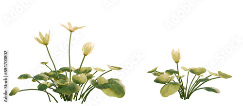 Yellow Blooming Flowers with Green Leaves Arrangement. Ficaria verna. 3D render. photo