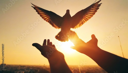 Silhouette pigeon return coming to hands in air vibrant sunlight sunset sunrise background. Freedom making merit concept photo