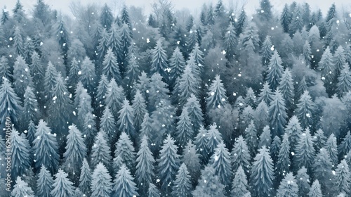 snowy pattern background, christmass background, pine trees pattern