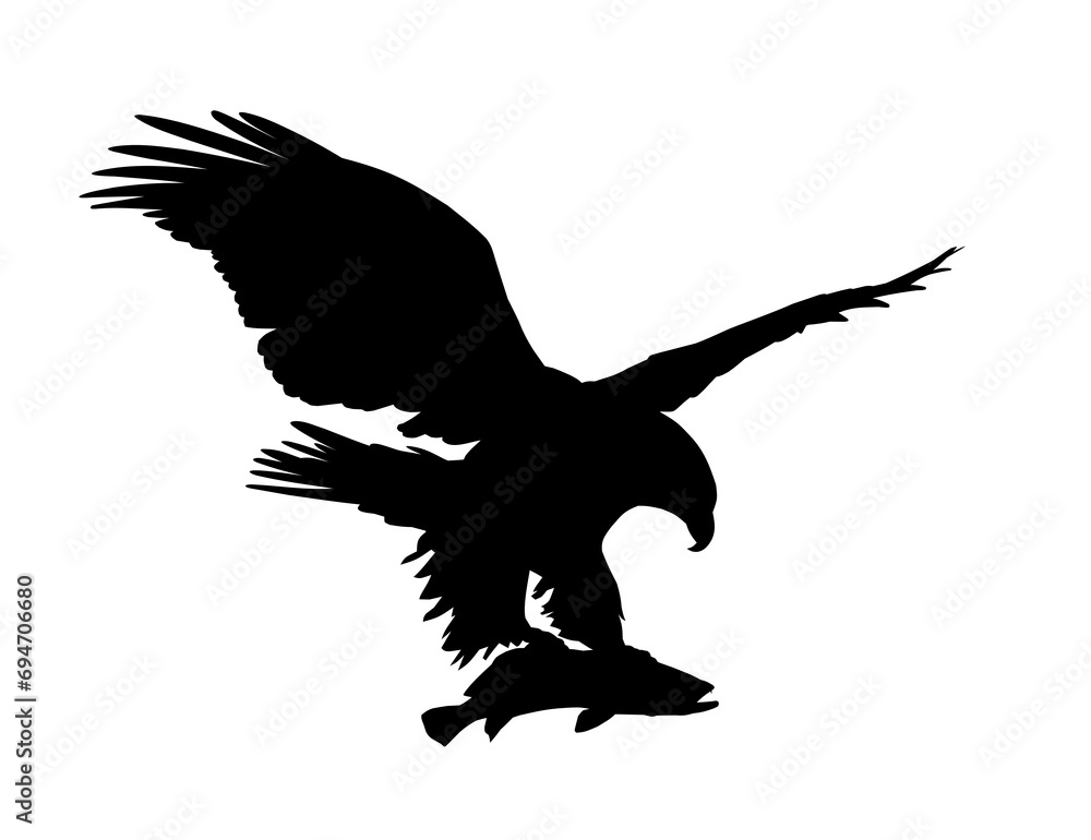 The silhouette of wild eagle with fish.
The silhouette of wild eagle with fish.