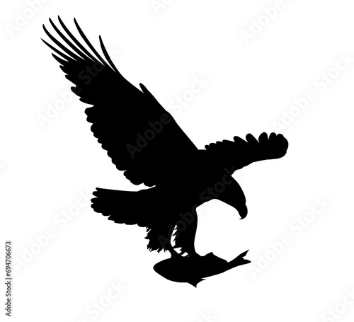 The silhouette of wild eagle with fish.
