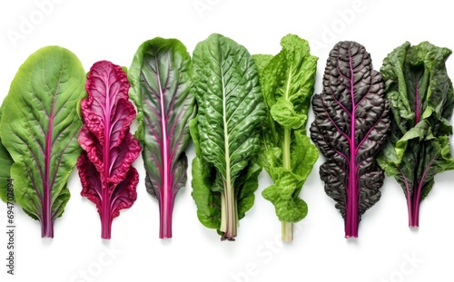 Fresh leafy spinach of different varieties