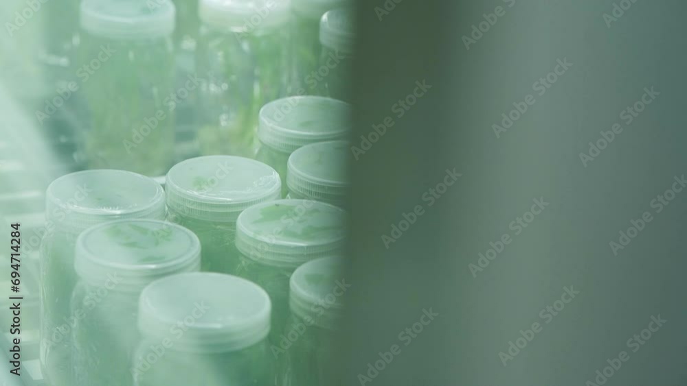 Tissue culture Using new technology Protect the environment.
Tissue culture Using new technology Protect the environment.