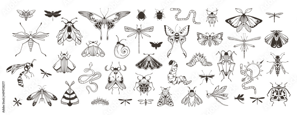 Mystical celestial beetles, moth and butterfly clipart bundle, magic black and white insects silhouettes in vector, unreal hand drawn night moth, isolated elements set Mystical celestial beetles, moth and butterfly clipart bundle, magic black and white insects silhouettes in vector, unreal hand drawn night moth, isolated elements set