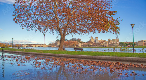 Vue sur Avignon en automne et inondation du Rhône.