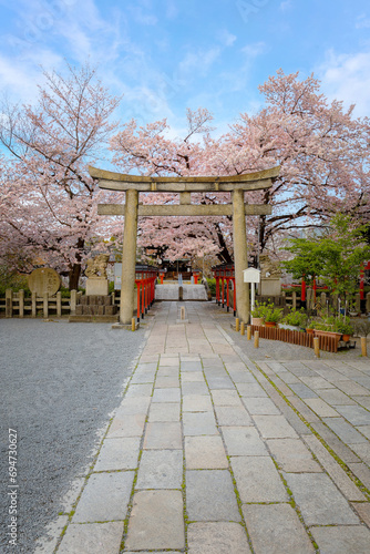 Rokusonno shrine built in 963, enshrines MInamota no Tsunemoto the 6th grandson of Emperor Seiwa. It's one of the best cherryblossom viewing spots in Kyoto photo