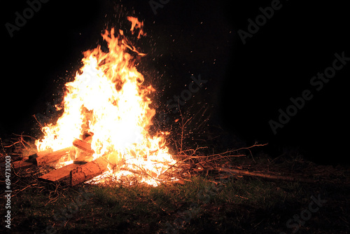 Burning campfire on a dark night in a forest (ID: 694731003)