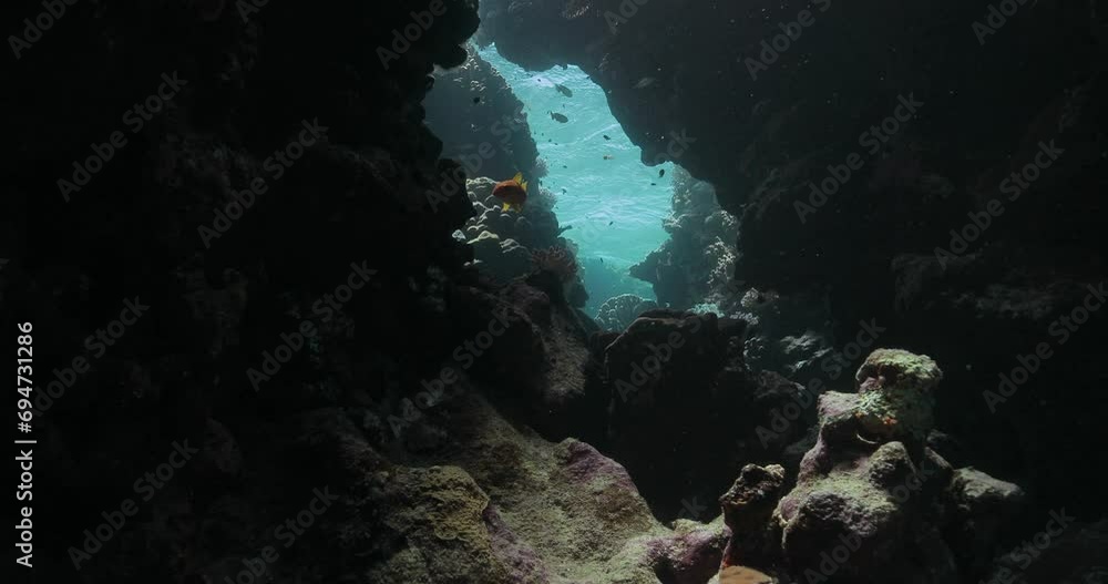 A steady shot of a marvelous underwater cave and colorful fish inside. A steady shot of a marvelous underwater cave and colorful fish inside.