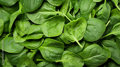 Baby Spinach, Spinach, Green Color, Fresh green baby spinach leaves close up. generative ai
