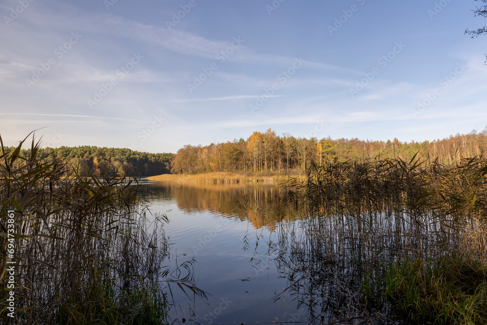 lake with yellowed trees on the shore in autumn