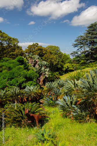 The Table  Cape Town  view from Kirstenbosch Gardens  South Africa