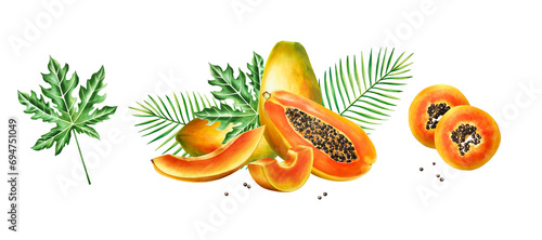Marker sweet ripe compositions with slice, half papaya and tropical leafs in watercolor style. Hand drawn realistic tasty marker illustration of exotic tropical fruit isolated on background. For d photo