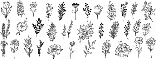 Plant illustration set, flowers and leaves clip art, hand drawn line art sketches, modern isolated doodle collection
