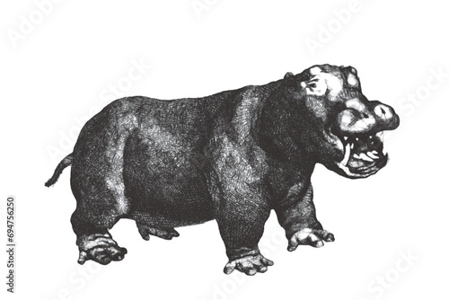 Hippopotamus (hippopotamus amphibius). Doodle sketch. Vintage vector illustration.