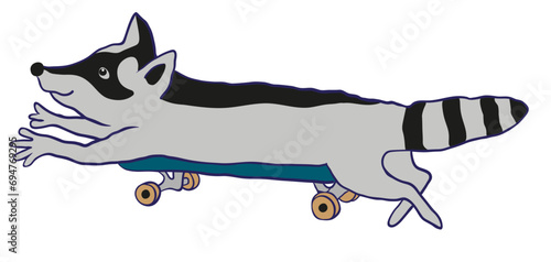 raccoon rides on a skateboard lying down in flat style in vector.animal character. image for poster sticker postcard print