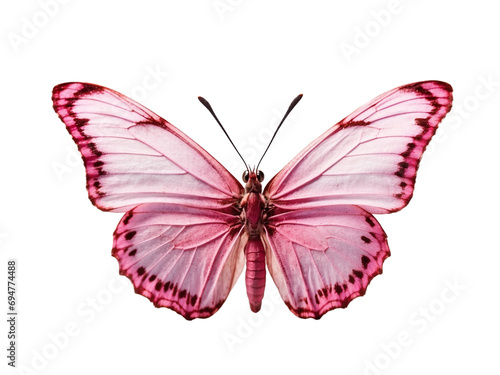Pink butterfly in PNG format or on a transparent background. A decorative and design element for a project, banner, postcard, business, background. A beautiful bright butterfly.  Insect. © OneMoreTry
