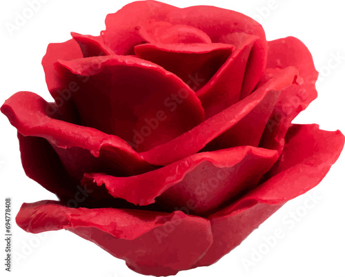 Red Rose Isolated on Transparent Background