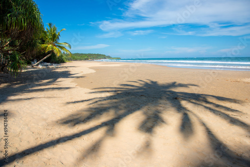 beach with palm trees