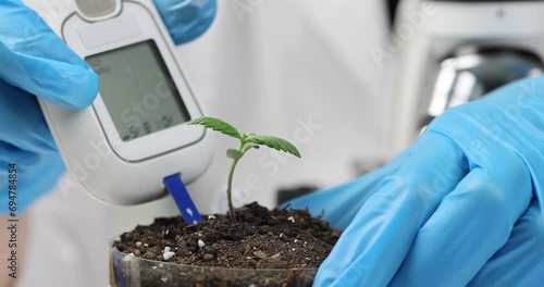 Hands with a device for checking soil acidity, close-up. Lakmus test, biochemistry, slowmotion photo