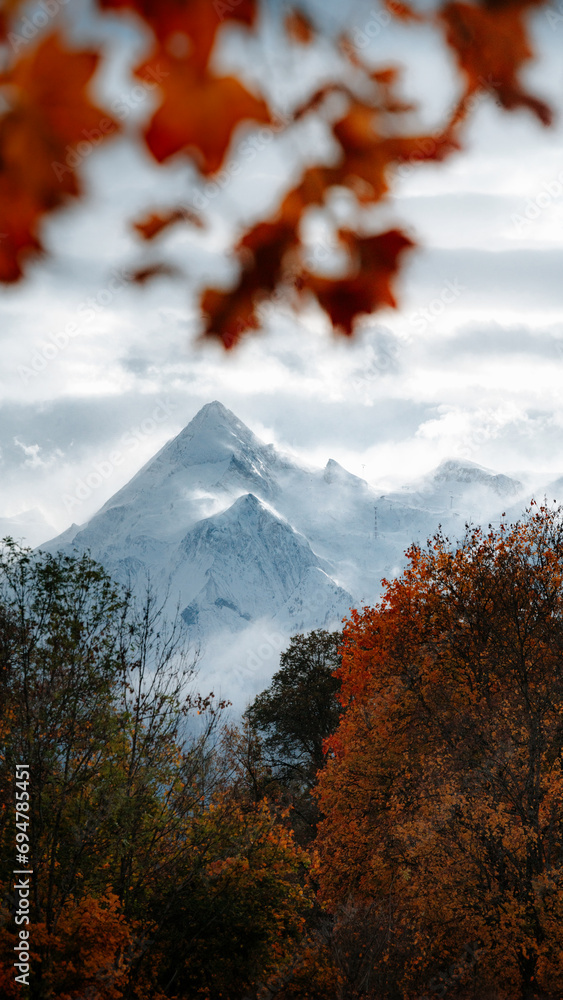Kitzsteinhorn mountain top with colourful autumn leaves during fall, Zell am See-Kaprun, Salzburg Land, Austria