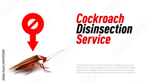 3D Red And Black Cockroach Disinsection Service