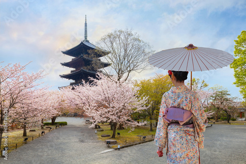 Young Japanese woman in a traditional Kimono dress strolls byToji Temple in Kyoto during full bloom cherry blossoms in spring