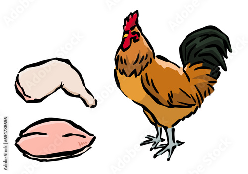 地鶏と鶏肉の手書き風イラスト