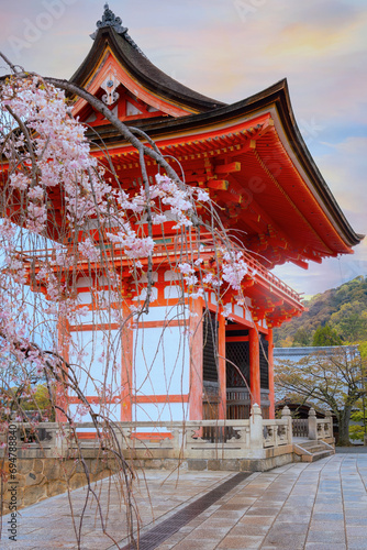 Kiyomizu-dera templein Kyoto, Japan with beauiful full bloom sakura cherry blossom in spring