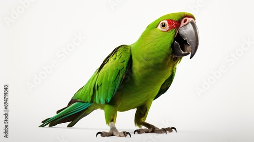 whimsy of a hilarious green parrot with vibrant feathers, striking funny poses on a clean white studio background.