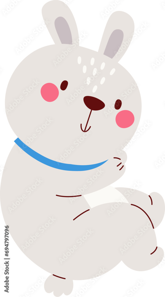 Bunny Animal Sitting Bunny Animal Sitting