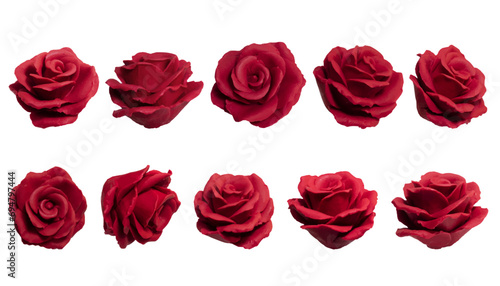 Set of Red Roses Isolated Vector on Transparent Background