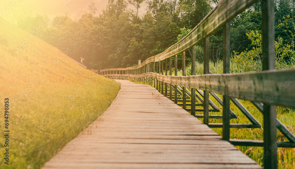 Wooden pathway in sunny summers day. background