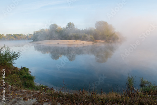 morning in the forest