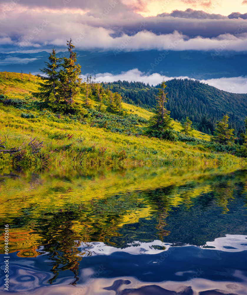 Green meadow with fir tree reflected in the calm waters of small lake. Dramatic summer sunrise in Carpathian mountains, Ukraine, Europe. Huge fog spreads among mountains hills.