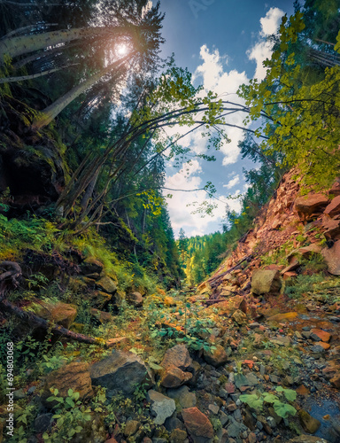 Astonishing view from the bottom of canyon to the top of trees. Great summer scene of  Carpathian mountains, Yaremcha resort location, Ukraine, Europe. Beauty of nature concept background.. photo