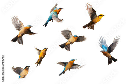 Flying Birds Isolated On Transparent Background