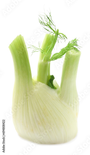 Fresh raw fennel bulb isolated on white