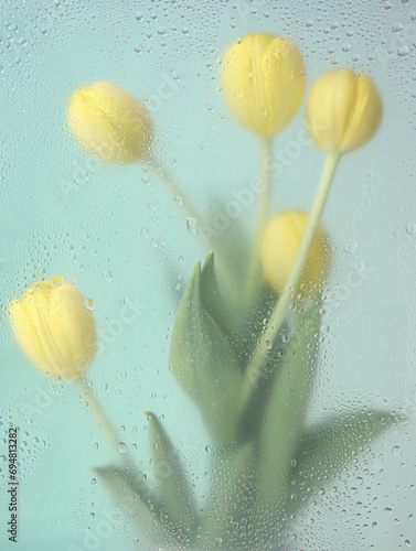 Flowers in the spring rain tulips