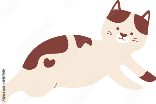 Cat Animal Lying
