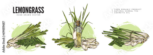 Lemongrass plant colorful hand drawn labels sketch vector illustration isolated.