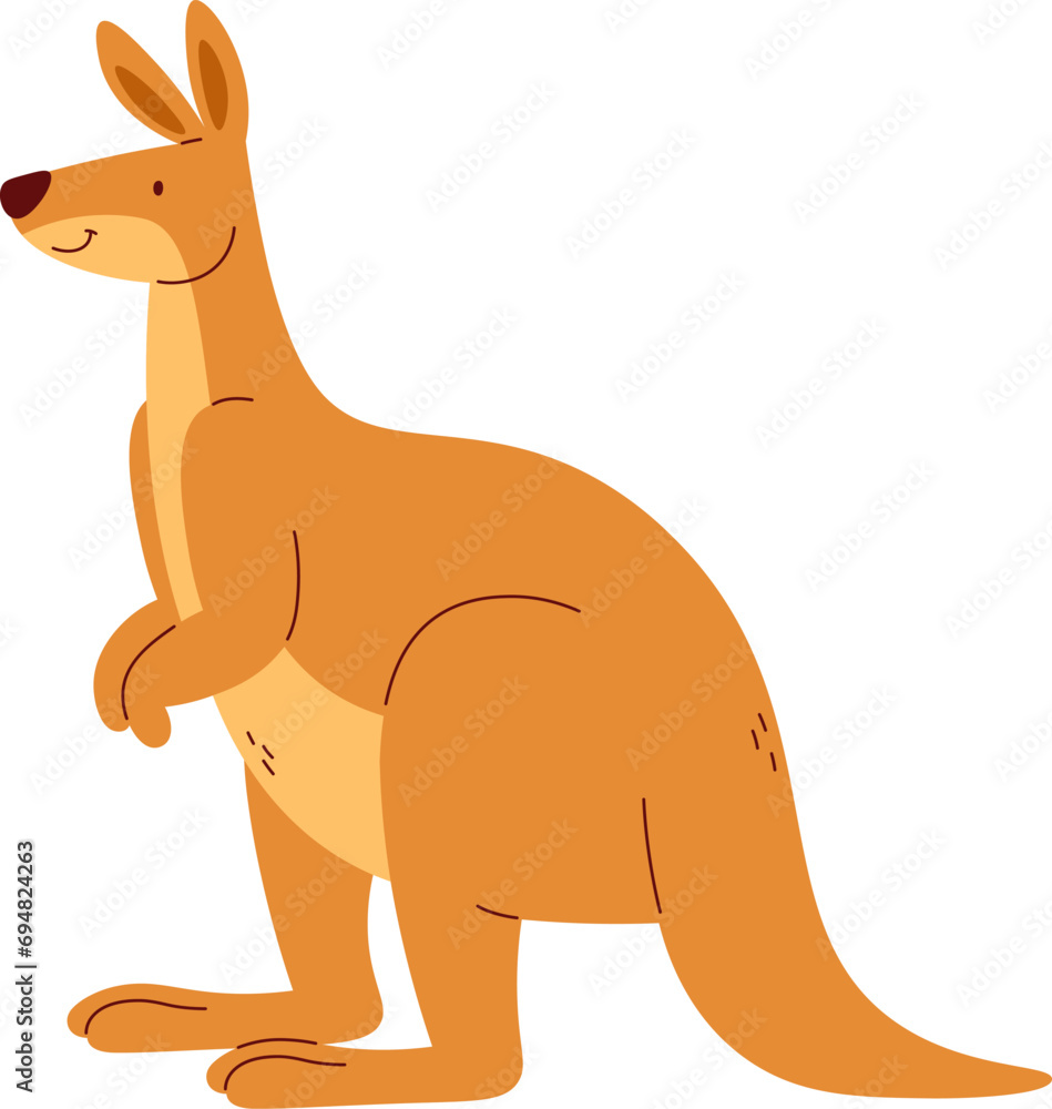 Kangaroo Animal Staying