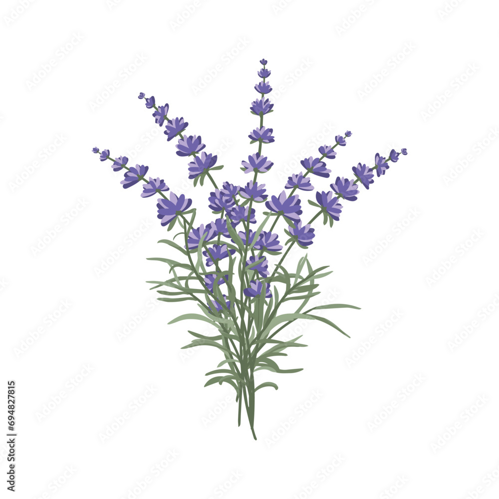 Obraz premium A floral arrangement of lavender flowers in the form of a bouquet for the design of postcards, invitations and other posters.