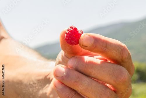 Anonymous botanist holding harvested berry fruit photo