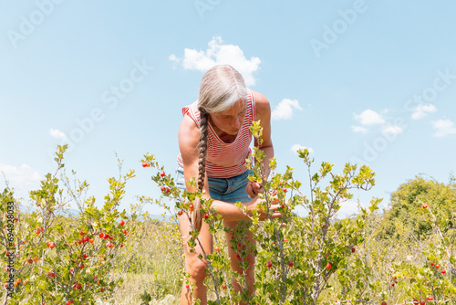 Botanist with Ribes rubrum at organic plantation photo