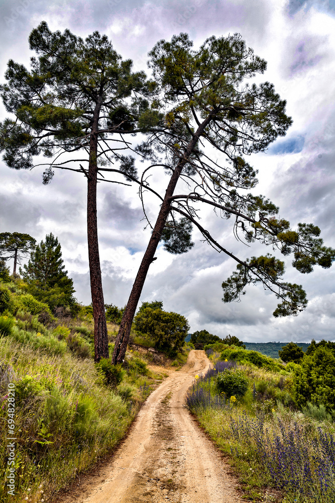 Camino de Navaluenga Camino de Navaluenga